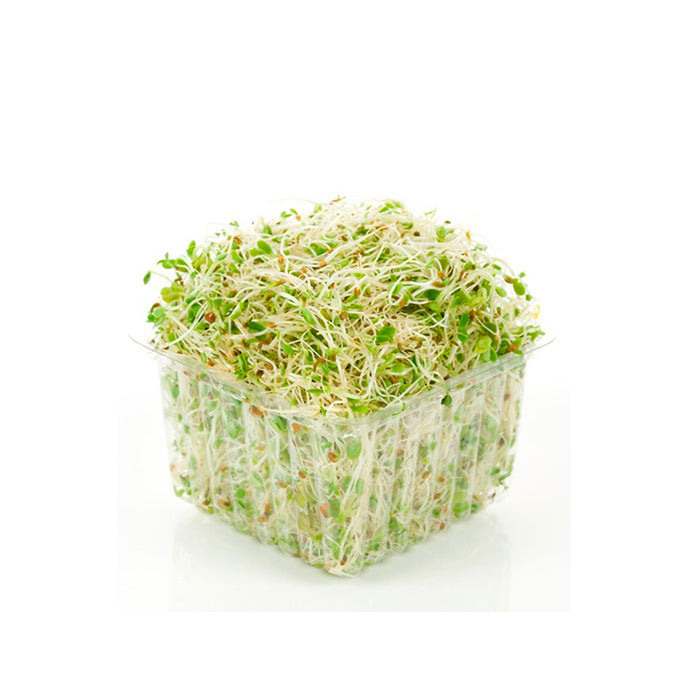 Germen de Alfalfa