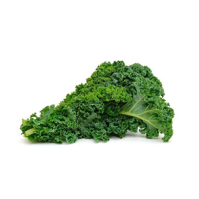 Lechuga Berza