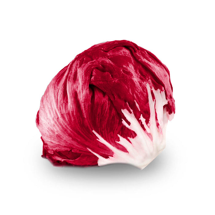 Lechuga Radicchio