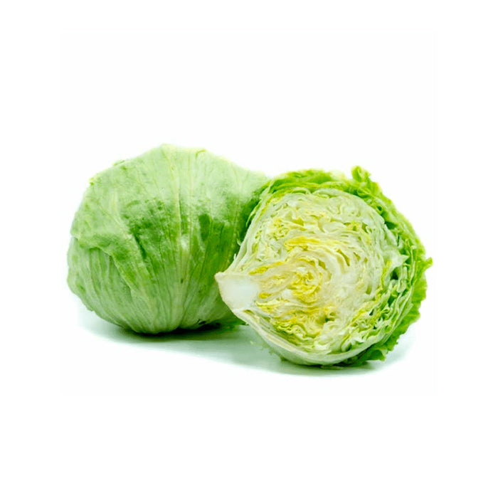 Lechuga Romana