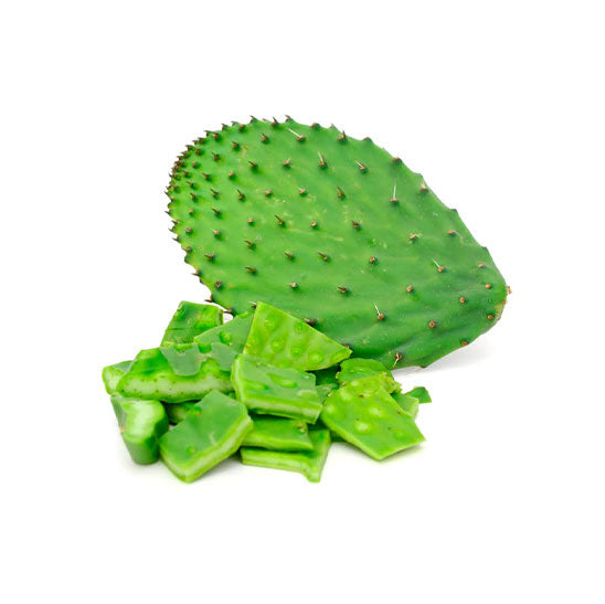 Nopal