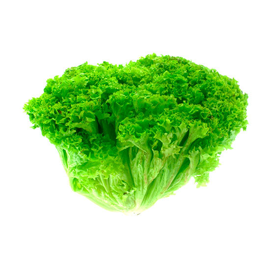 Lechuga Crespa