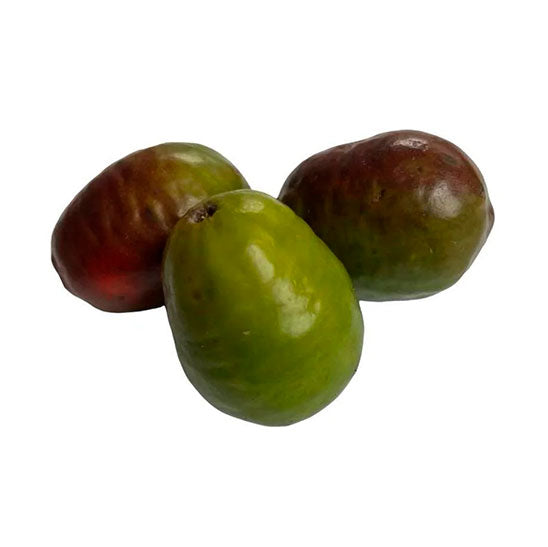 Ciruelas Criolla